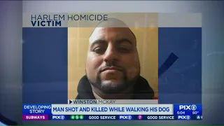 Man shot and killed while walking dog in Harlem: police