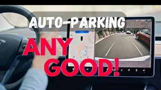 Tesla Enhanced Autopilot - Autopark Test