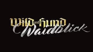 WILD UND HUND Waidblick DVD
