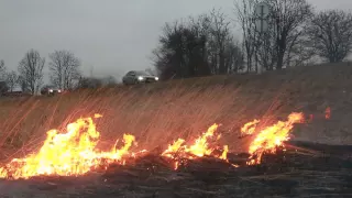 Калининградская область в огне