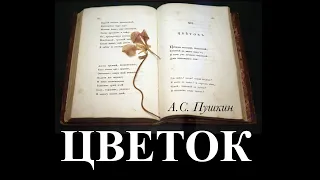 А.С. Пушкин «Цветок»  -  читает Александр Грин