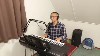 Червона рута  cover Yamaha sx700