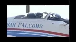 Українські Соколи (Украинские Соколы, Ukrainian Falcons)