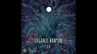 VA - Organic Banyan