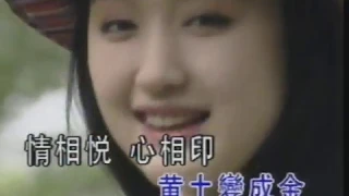 杨钰莹甜歌 楊鈺瑩 Chinese sweet song