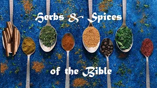 Herbs & Spices of the Bible