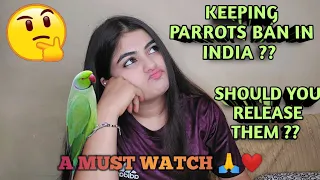 Are parrots banned/illegal in India? Wildlife protection🐦 How to get/release parrot #anukritisharma