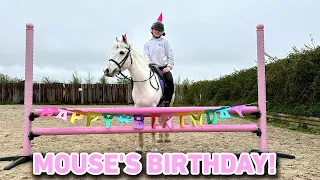 MOUSE'S BIRTHDAY VLOG! MY PONY'S BIRTHDAY PARTY