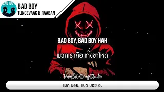 แปลเพลง Bad Boy - Tungevaag & Raaban