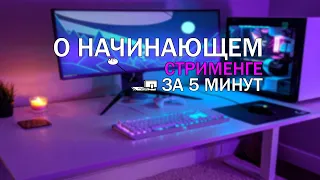 НАЧИНАЮЩИЙ СТРИМЕР ЗА 5 МИНУТ