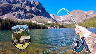 Fly Fishing Colorado MOUNTAIN Lake!!--Hiking Rocky Mountain National Park!