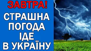 ПОГОДА НА 25 ЛИПНЯ : ПОГОДА НА ЗАВТРА