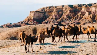 Must See Mongolia: The Mongolian Gobi! 4K Aerial Film