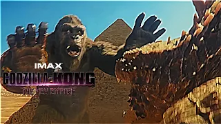 Godzilla & Kong Fighting Scene in Egypt | Godzilla X Kong: The New Empire