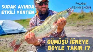 BARAJDA BALIK AVI - BU TEKNİK İLE SUDAK GARANTİ 💯 SUDAK AVI