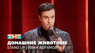 Stand Up: Иван Абрамов - домашние животные