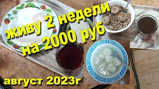 Живу две недели на 2000 руб, но это ещё не точно))) 1-й, 2-й, и 3-й дни!