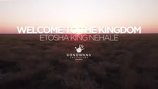 Top Namibian Destination - Etosha King Nehale