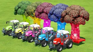 TRANSPORTING COLORFUL GIANT BROCCOLI WITH RIGITRAC MINI TRACTORS - Farming Simulator 22