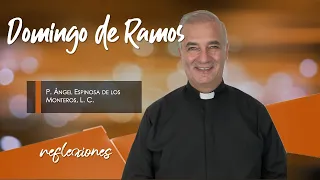 Domingo de Ramos - Padre Ángel Espinosa de los Monteros