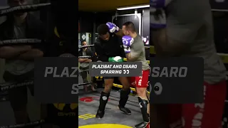 Antonio Plazibat and Tariq Osaro SPARRING. They fight each other at COLLISION 5 👀