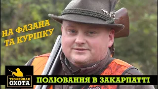 Полювання в Закарпатті на Фазана та Куріпку. Частина 2 | Трофейне Полювання №59