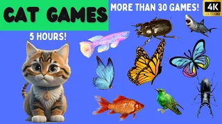 Fun Cat Games [5 HOURS in 4K] - With Bugs, Spiders, Mice, Rope, Butterfly, Bird...🐦🐿️ 🐁🪳🪢