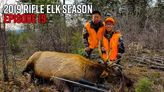 First Bull Down! - Washington OTC Rifle Elk Hunt | 2019 Hunting Season EP.19