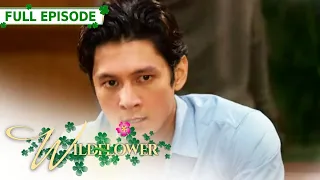 [ENG SUB] Ep 142 | Wildflower | Maja Salvador, Tirso Cruz III, Aiko Melendez