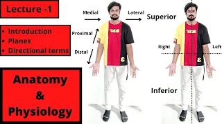 Anatomy and Physiology | Introduction | Anatomical Planes | Directional Terms | Hindi