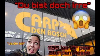 Carp den Bosch 2024..Spontaner Trip in die Niederlande