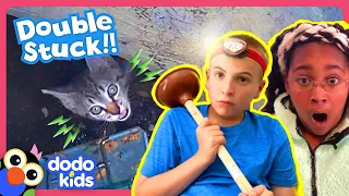 Sewer Heroes Save Kitten And A Mystery Animal Stuck In A Box! | Dodo Kids | Rescued!