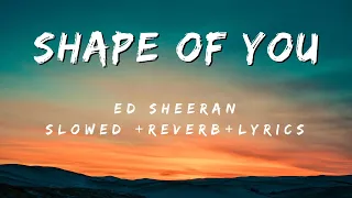 Ed Sheeran - Shape Of You ( Slowed + Reverb + Reverb)