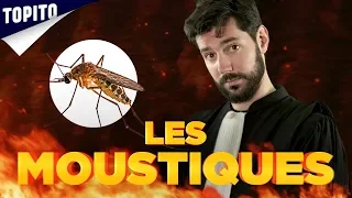 "Les Moustiques" - L'Avocat du Diable #2 | Topito