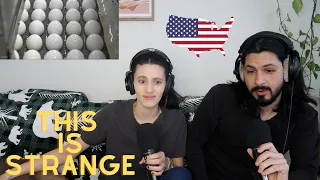 Why US Produced Eggs Are Banned Across Europe | Americans React | Loners #133