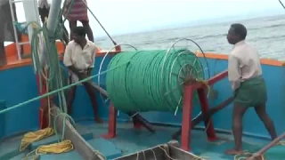 Large Mesh  Purse Seining