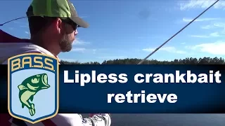 1-Minute Angler: Lipless crankbait retrieve