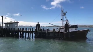 Bodega and Bodega Bay -The birds (Alfred Hitchcock, 1963) filming locations