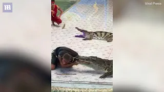 Croc Bites Off A Trainer's Arm in the middle of a show