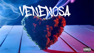 VENENOSA - MC's Menor da VG, Leozinho ZS, Neguinho do Kaxeta, Kanhoto e Kadu - DJ Murillo e LT