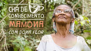 Chá de Conhecimento #15 - Dona Flor | Mamona