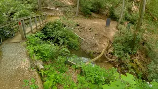 Bracken Mountain Preserve, Brevard N.C.