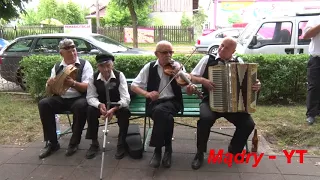 Fajny, ludowy kawałek w wykonaniu wspaniałego harmonisty Tadeusza WIĄCKA 2016