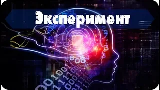 Самоэксперимент ч.1/7 Жизнь на высоких вибрациях. Шкала вибраций • Магия жизни