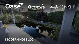 Modern Koi Blog #5825 - Andreas' selbstgebauter 8.000 Liter Kleinteich