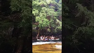 Whitewater Canoe Flip and Crash