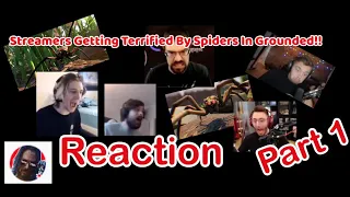 STREAMERS GETTING TERRIFIED BY SPIDERS IN GROUNDED!! (Reaction)