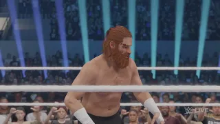 Sami Zayn vs CmPunk-WWE UNIVERSAL CHAMPIONSHIP (Rollins crashes party again and cashes in MITB)