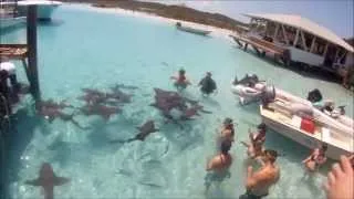 Swimming With Sharks Near Staniel Cay, Exuma Bahamas