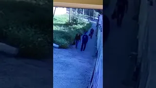 Насильника из Георгиевска отправят на принудительное лечение